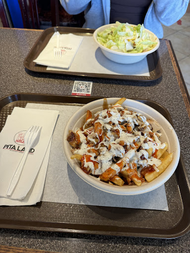 Photo of Pita Land Shawarma - Aurora - 676 Wellington St E, Aurora, ON L4G 0K3