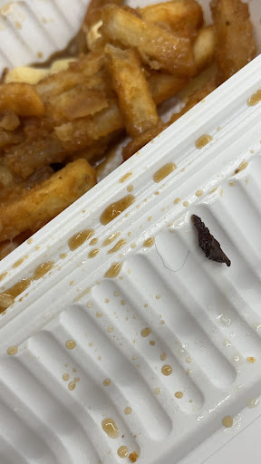 Photo of Hungry For Shawarma - 581 Main St E, Hamilton, ON L8M 1H9