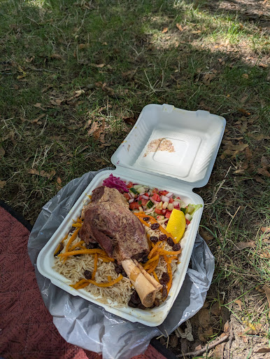 Photo of Hewad Kabab and Shawarma - 55 St Paul St, St. Catharines, ON L2R 3M3