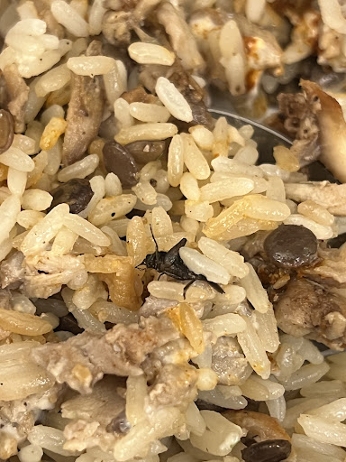 Photo of Lazeez Shawarma - 3476 Glen Erin Dr Unit 13B, Mississauga, ON L5L 3R4