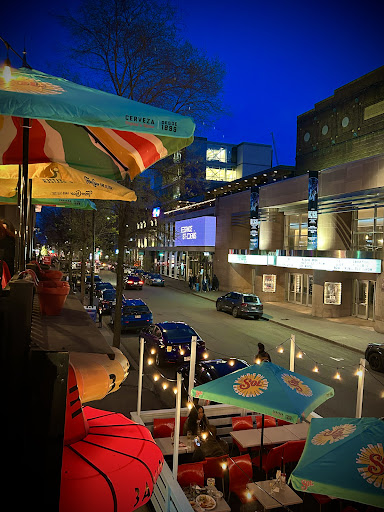 Photo of Omnivore St Denis - 1633 R. Saint-Denis, Montréal, QC H2X 3K3