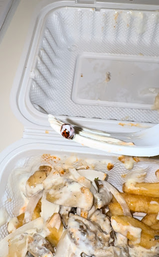 Photo of Lazeez Shawarma - 1505 Guelph Line, Burlington, ON L7P 3B6