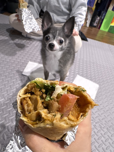 Photo of Royal Shawarma - 1540 North Service Rd W, Oakville, ON L6M 4A1