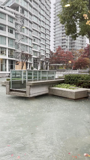 Photo of Yasma - 550 Denman St, Vancouver, BC V6G 3H1