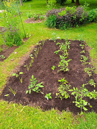 Photo of FRESHEST FRUITS AND VEGETABLES - 421 University Ave, Charlottetown, PE C1A 4N7