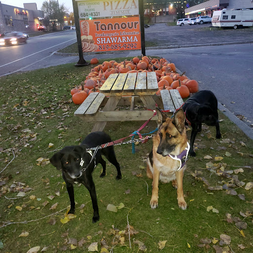 Photo of Tannour Shawarma and Bakery - 10 Rue Belmont, Gatineau, QC J9H 6J5