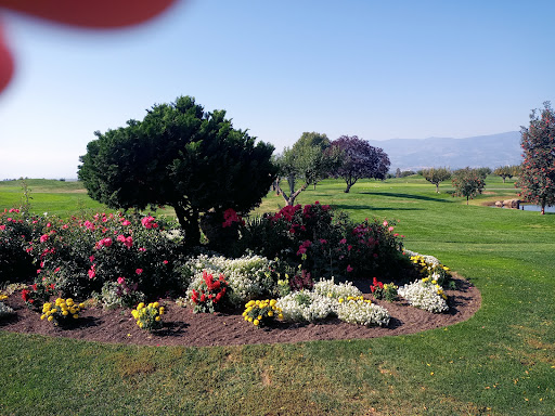 Photo of Masa's Grill at The Harvest Golf Club - 2725 K. L. O. Rd, Kelowna, BC V1W 4S1
