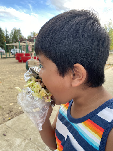 Photo of King Donair - 4407 Lakeshore Dr, Sylvan Lake, AB T4S 1C4