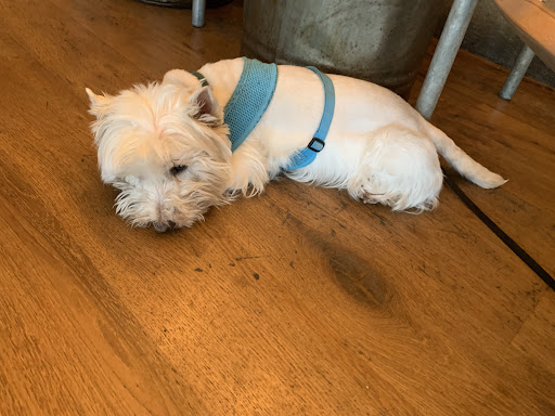 Photo of Bean & Hop - 424-426 Garratt Ln, London SW18 4HN, UK