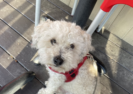 Photo of Resto Du Village - 220 Rue Principale, Saint-Sauveur, QC J0R 1R0