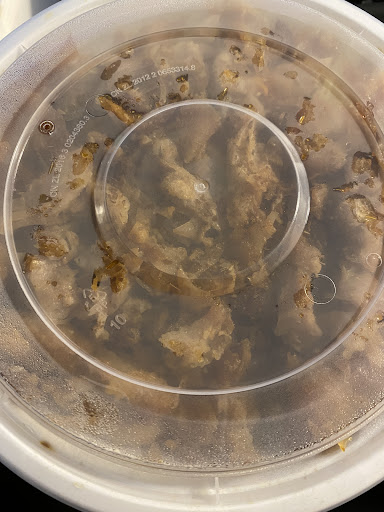 Photo of Aladdin Chicken Shawarma 阿拉丁烤肉饭 - 2900 Warden Ave., Scarborough, ON M1W 2S8