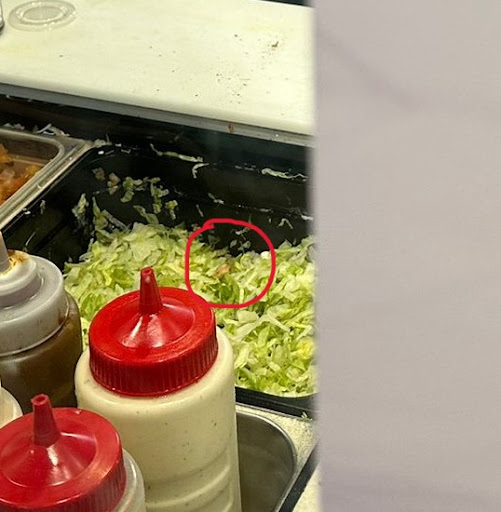 Photo of Osmow's Shawarma - 2161 Wyandotte St W, Windsor, ON N9B 1K1