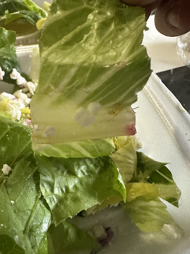 Photo of Shawarma & More - 3305 Central Ave, Toledo, OH 43606, USA