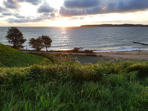 Photo of Den Gyldne Kylling - Vejlevej 20C, 7000 Fredericia