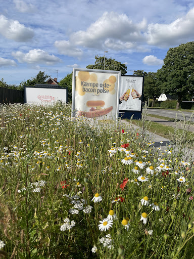 Photo of Queens Corner - Kirkebækvej 40, 8800 Viborg