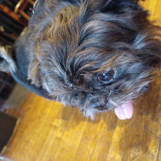 Photo of Old Brewery - 20 E Vennel, Alloa FK10 1ED