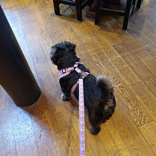 Photo of Old Brewery - 20 E Vennel, Alloa FK10 1ED