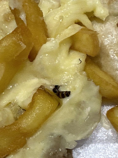 Photo of Kebabish - 204 Grahams Rd, Falkirk FK2 7BX