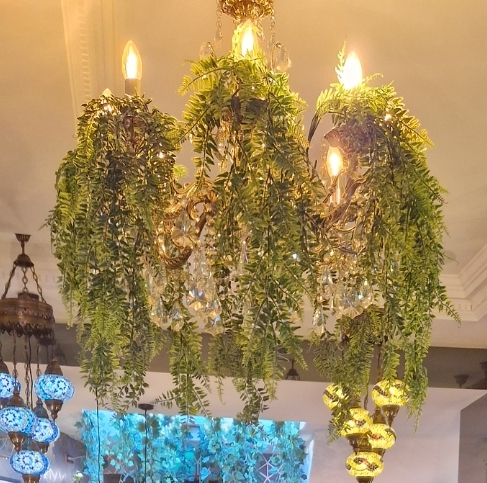 Photo of Pasha Mangal - 3 Bedford Hill, London SW12 9ET