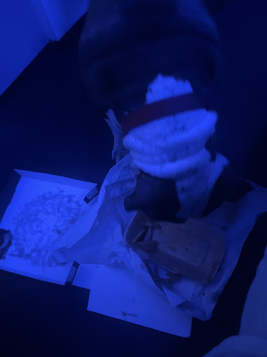 Photo of Mr Ts Pizza - 4 Bagnall Rd, Old Basford, Nottingham NG6 0JX