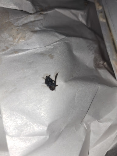 Photo of Ali's Kebab House - 180 Kingsway, Dunmurry, Belfast BT17 9AD