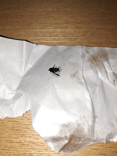 Photo of Ali's Kebab House - 180 Kingsway, Dunmurry, Belfast BT17 9AD