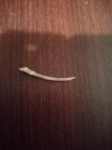 Photo of Joe's Fish Bar - 70-72 Durham Rd, Stockton-on-Tees TS19 0DG