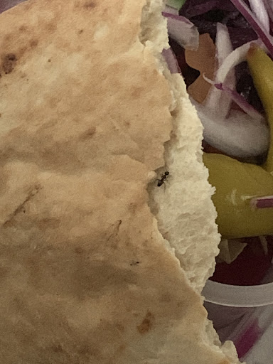 Photo of Fabio's Pizza & Grill - 10 Havelock St, Blyth NE24 1AB