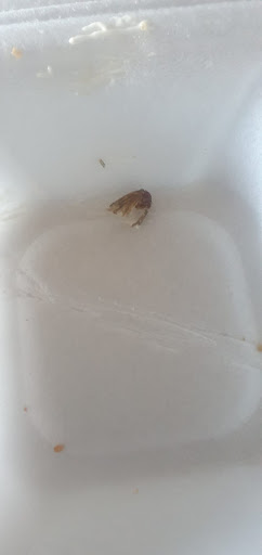 Photo of Chill and Grill - 7, Pavilion Row, Scunthorpe DN15 7RD