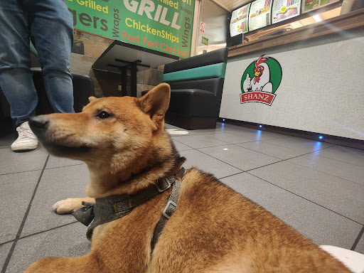 Photo of Shanz Grill - 5 Eastover, Bridgwater TA6 5AG