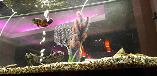 Photo of Delhi 41 - 530 Sheffield Rd, Whittington Moor, Chesterfield S41 8LP