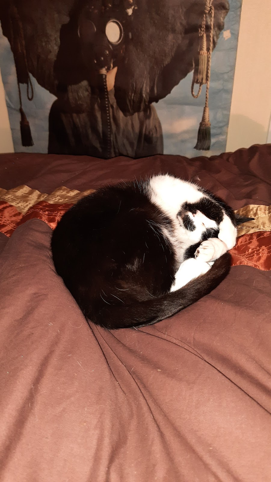 Photo of Mr Kebab - 37 Victoria Rd, Dartmouth TQ6 9RT