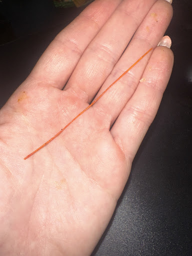 Photo of SLAMBURGER® Cardiff - Halal Burgers - 149-151 City Rd, Cardiff CF24 3BQ