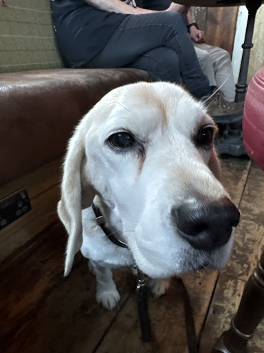 Photo of Carpenters Arms, Cambridge - 184-186 Victoria Rd, Arbury, Cambridge CB4 3DZ