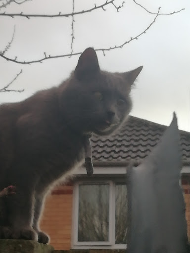 Photo of Bodrum Kebab - 42 Goldsmith Rd, Cheltenham GL51 7RY