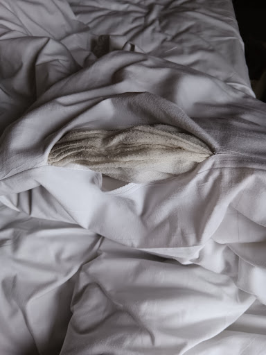 Photo of Al-Shami - 25 Walton Cres, Oxford OX1 2JG