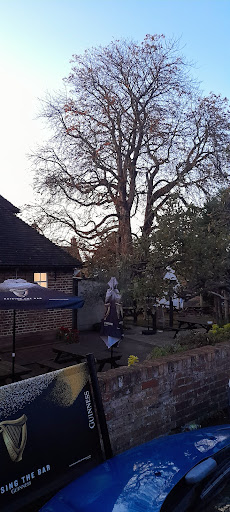 Photo of Iffley kitchen @ The Tree - 63 Church Way, Iffley, Oxford OX4 4EY