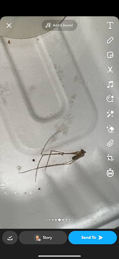 Photo of Flames Balti Massala - 14 Welsh Row, Nantwich CW5 5ED