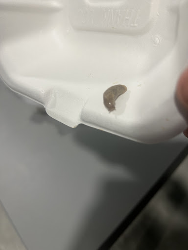 Photo of Fatboyz - 6 Cheapside, Derby DE1 1BR