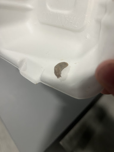 Photo of Fatboyz - 6 Cheapside, Derby DE1 1BR