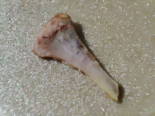 Photo of The Burrito Stop - 39 Osmaston Rd, Derby DE1 2JF