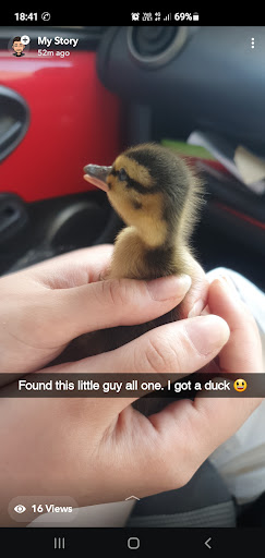 Photo of Santos Dewsbury - 4 South St, Dewsbury WF13 1JT