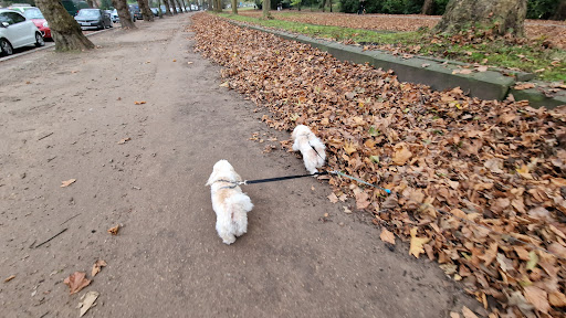 Photo of MeatMe - 20 Lark Ln, Liverpool L17 8US