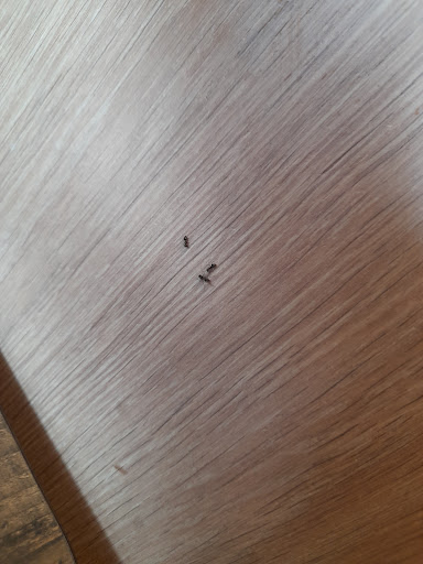 Photo of KFC Elgin - Linkwood Place - Linkwood Pl E, Elgin IV30 1HZ