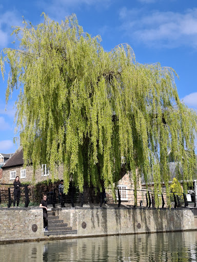 Photo of The Cutter Inn - 42 Annesdale, ELY CB7 4BN