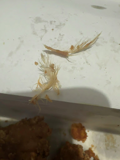 Photo of Tasty Chicken & Pizza - 192 Evington Rd, Leicester LE2 1HN