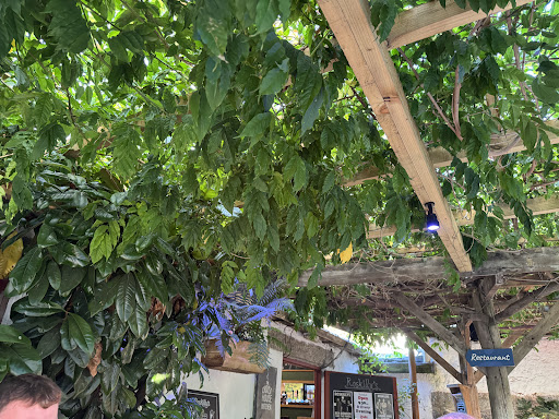 Photo of Roskilly's - Barton Farm, Tregellast Cl, St Keverne, Helston TR12 6NX