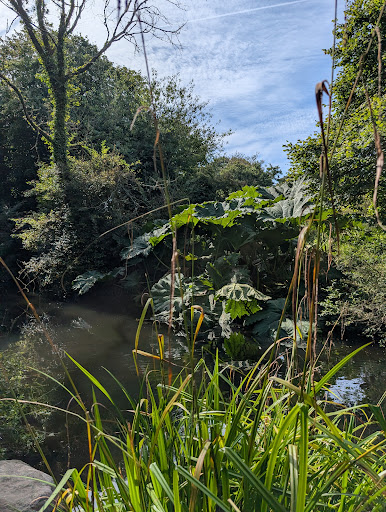Photo of Roskilly's - Barton Farm, Tregellast Cl, St Keverne, Helston TR12 6NX