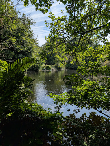 Photo of Roskilly's - Barton Farm, Tregellast Cl, St Keverne, Helston TR12 6NX