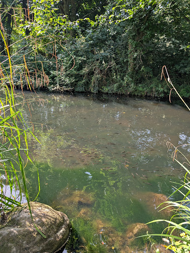 Photo of Roskilly's - Barton Farm, Tregellast Cl, St Keverne, Helston TR12 6NX